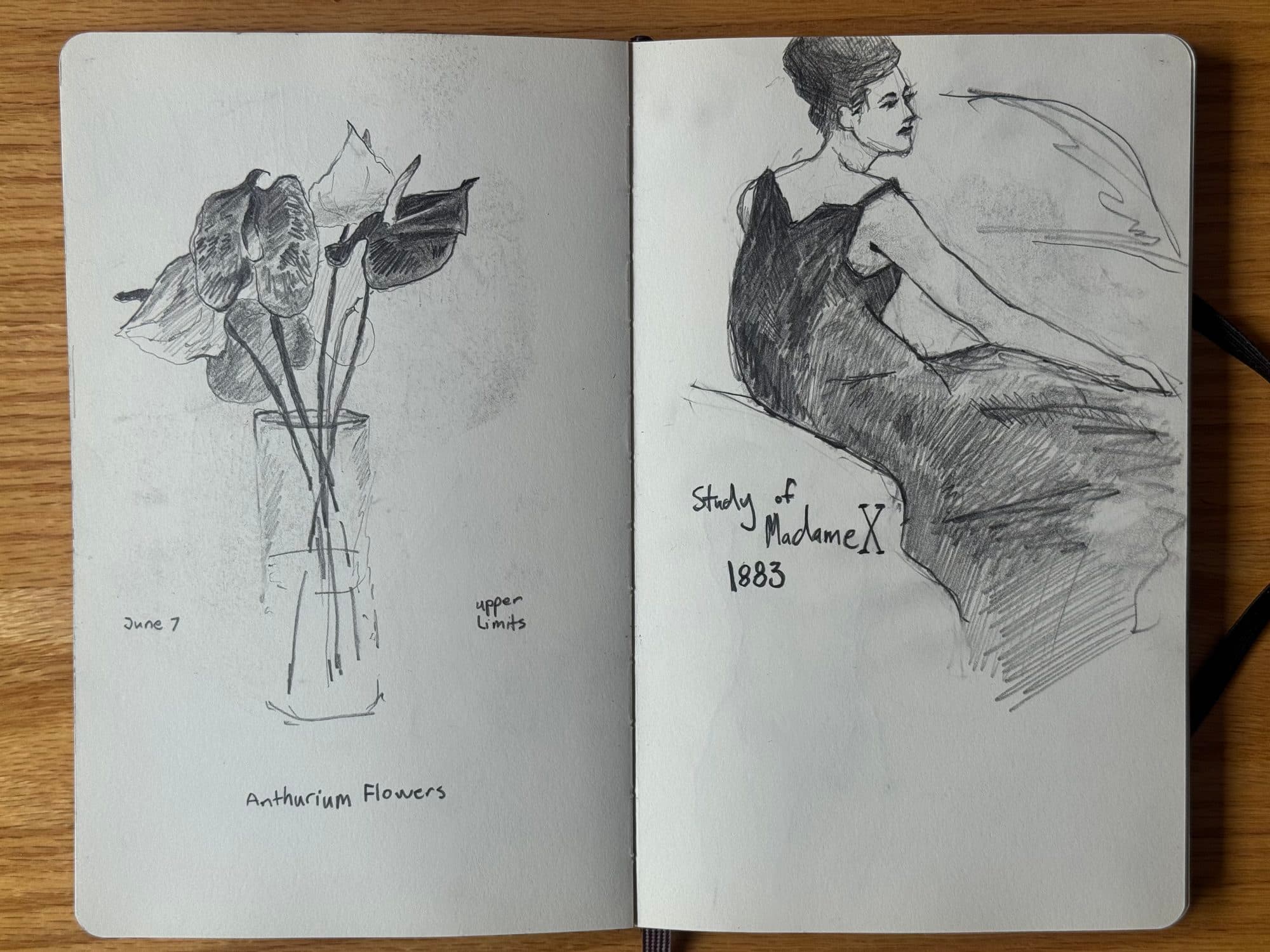 Sketchbook spread: a graphite still life of anthurium flowers in a glass vase, and a study of Sargent’s Madame X (1883).